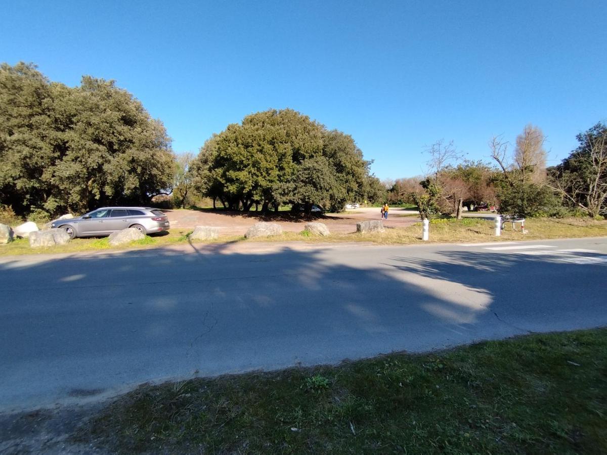 A 80M De La Plage De Plaisance Pour 8 Personnes Saint-Georges-d'Oleron Eksteriør billede